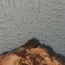 Cookie Ferrero Rocher